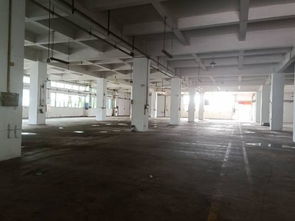 全新五層廠房招租 優越位置，靈活空間，助您事業騰飛